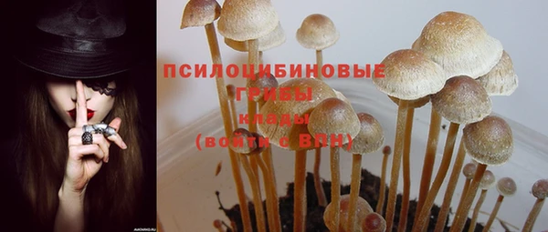 соль курить ск Горняк