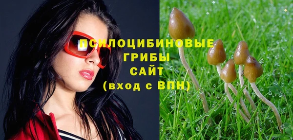 бутират Горнозаводск