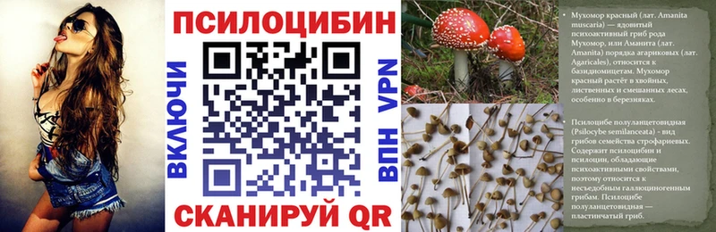 Галлюциногенные грибы мицелий Скопин
